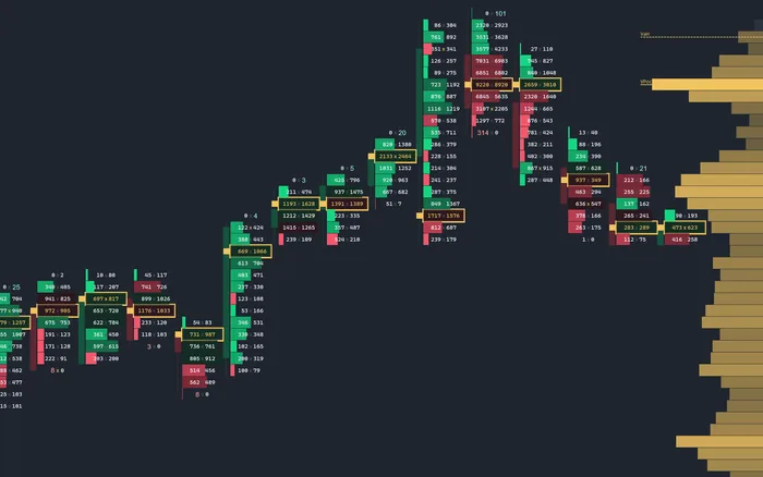 Footprint chart with the session volume profile drawn along the right edge, value area high and point of control marked